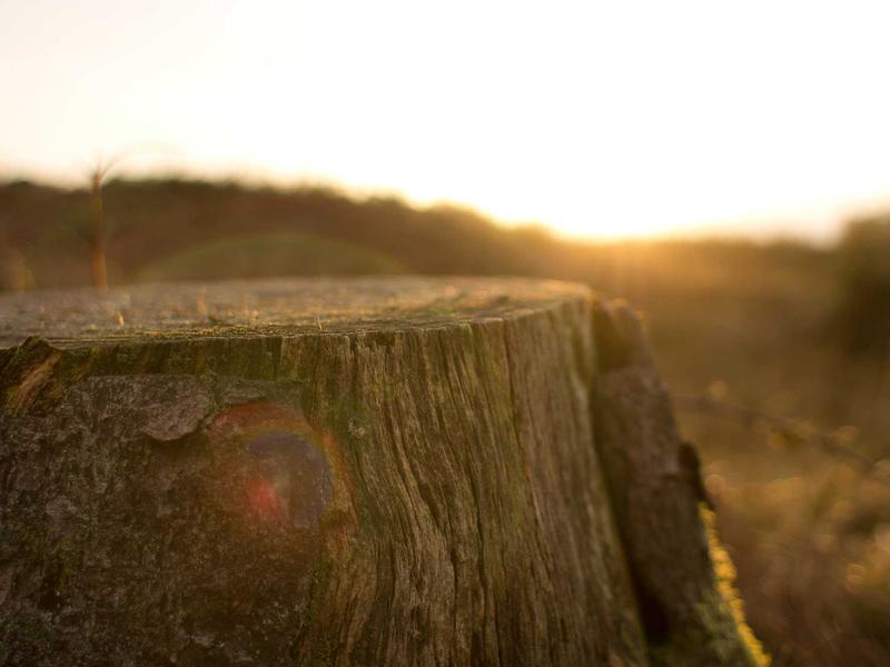 sudoku stress relief screenshot 5